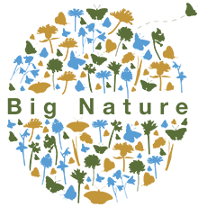 Big Nature